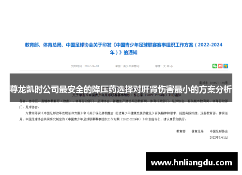 尊龙凯时公司最安全的降压药选择对肝肾伤害最小的方案分析