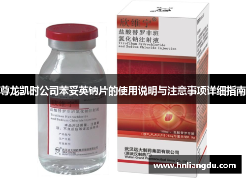 尊龙凯时公司苯妥英钠片的使用说明与注意事项详细指南