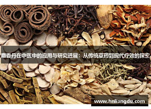 麝香丹在中医中的应用与研究进展：从传统草药到现代疗效的探索