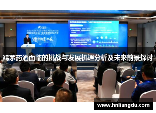 鸿茅药酒面临的挑战与发展机遇分析及未来前景探讨
